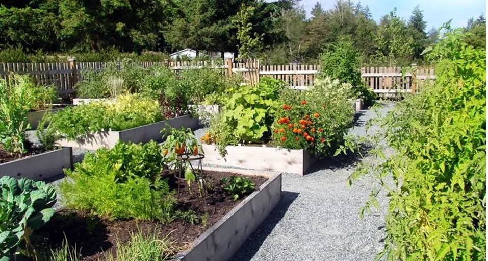 Community Gardens